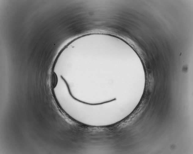 X0000098100862200805021108