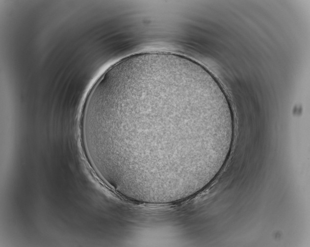 X0000098100864200805021108