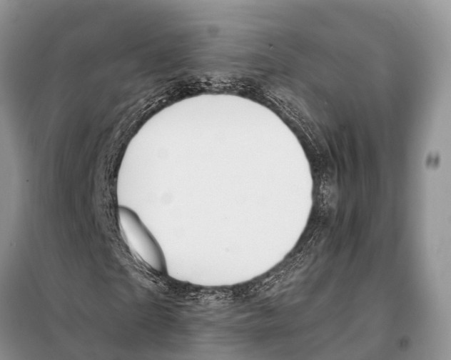 X0000098100865200805021107