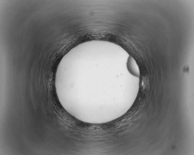 X0000098100867200805021107