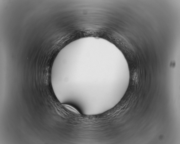 X0000098100868200805021107