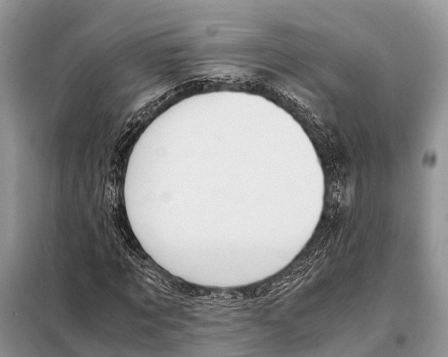 X0000098100869200805021107