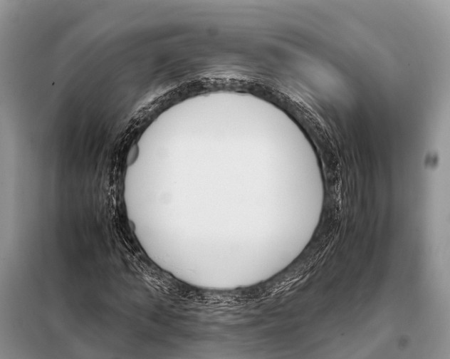 X0000098100870200805021107