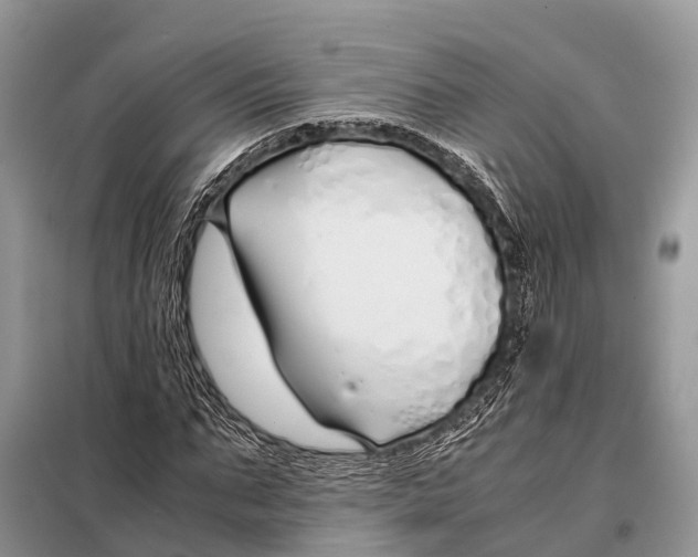 X0000098100871200805021107