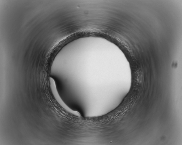 X0000098100872200805021107
