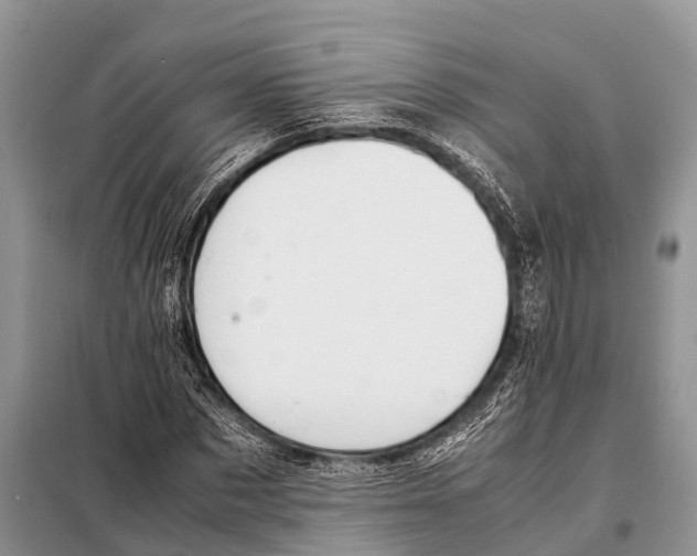 X0000098100873200805021107