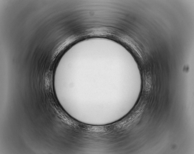 X0000098100874200805021107