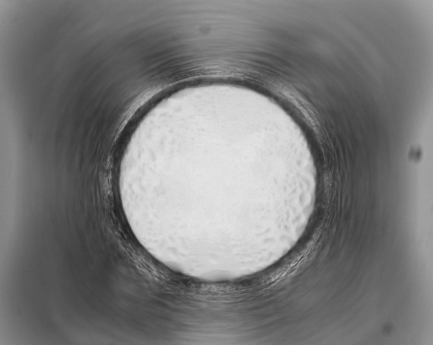X0000098100875200805021107