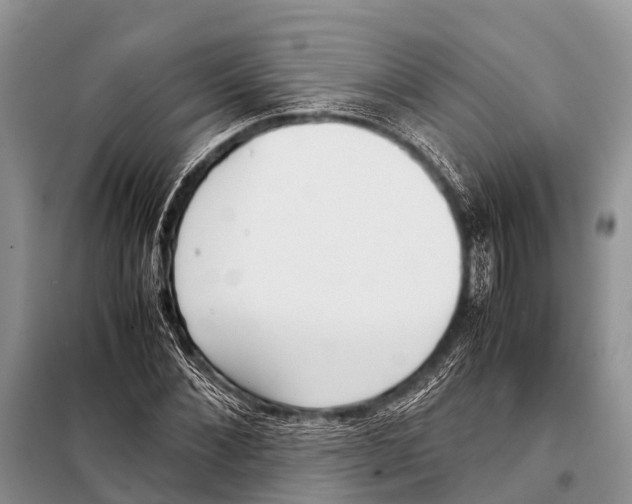 X0000098100876200805021107