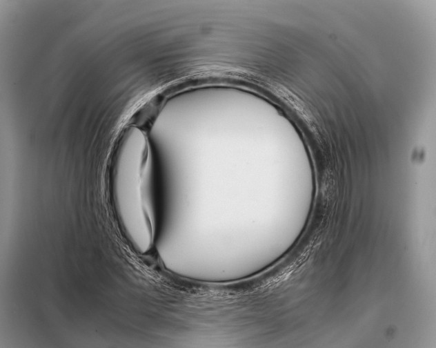 X0000098100877200805021107