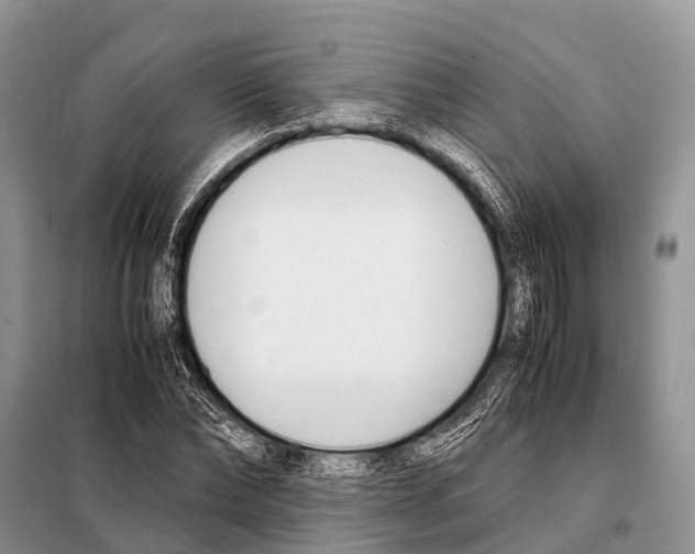 X0000098100878200805021107