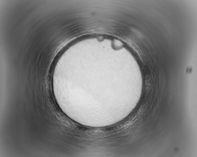 X0000098100879200805021107