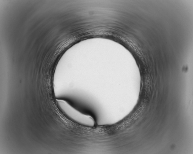 X0000098100881200805021107