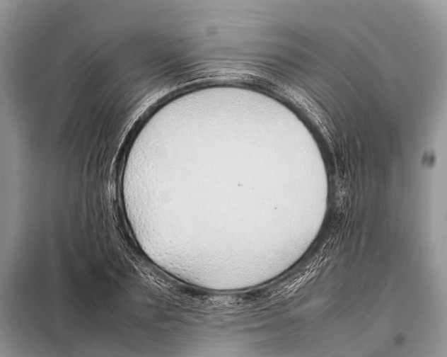 X0000098100883200805021107