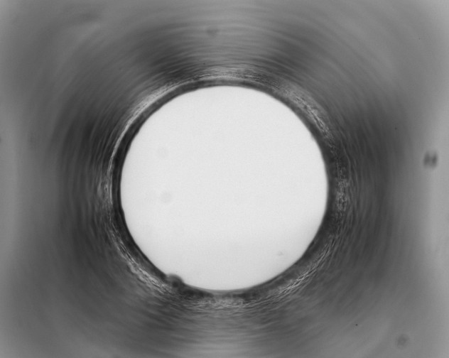 X0000098100884200805021107