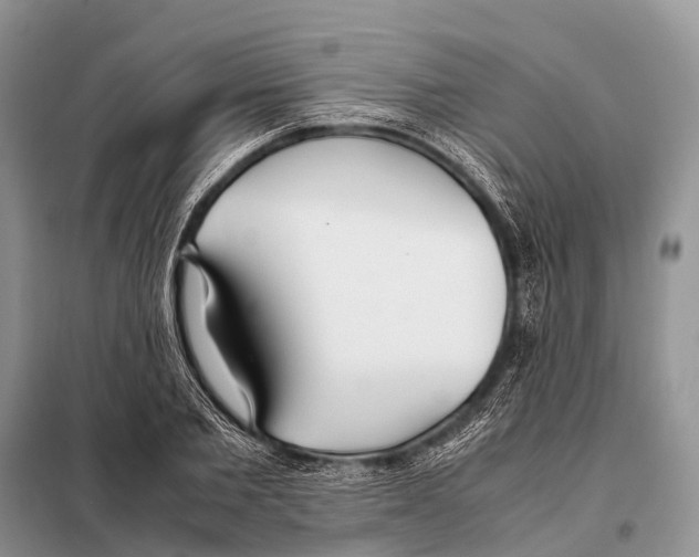 X0000098100885200805021107