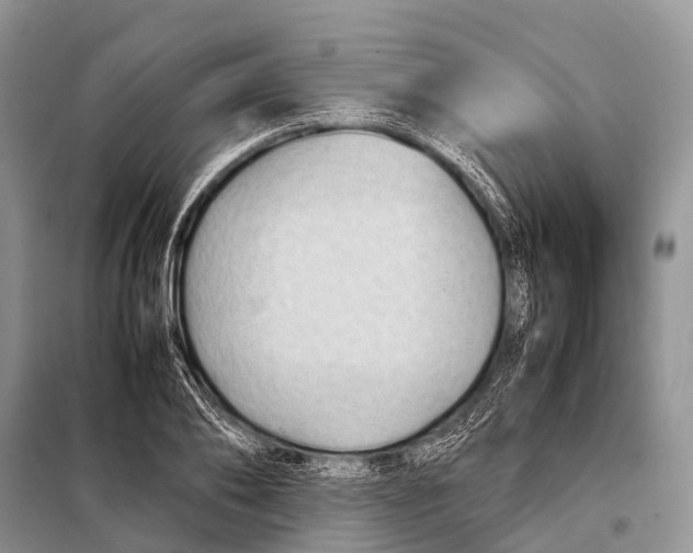 X0000098100886200805021107
