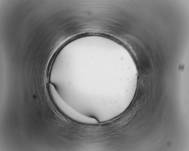 X0000098100887200805021107