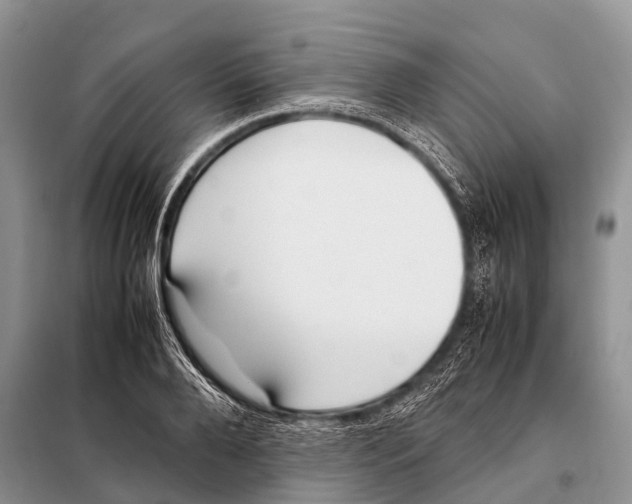 X0000098100888200805021107