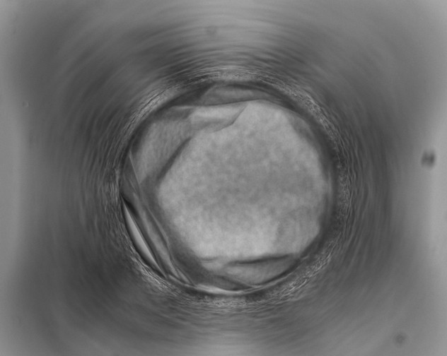 X0000098100889200805021107