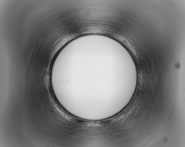 X0000098100890200805021107