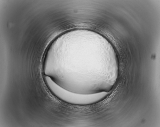 X0000098100891200805021107