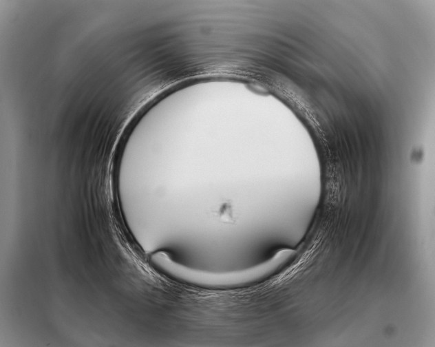 X0000098100892200805021107
