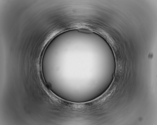 X0000098100893200805021107