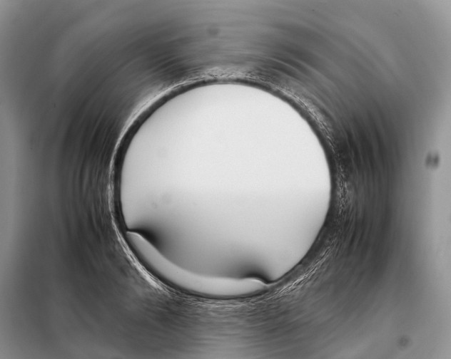 X0000098100894200805021107
