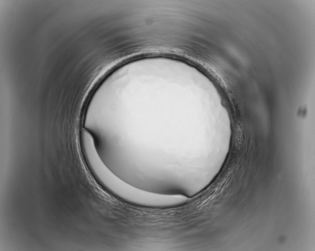 X0000098100895200805021107