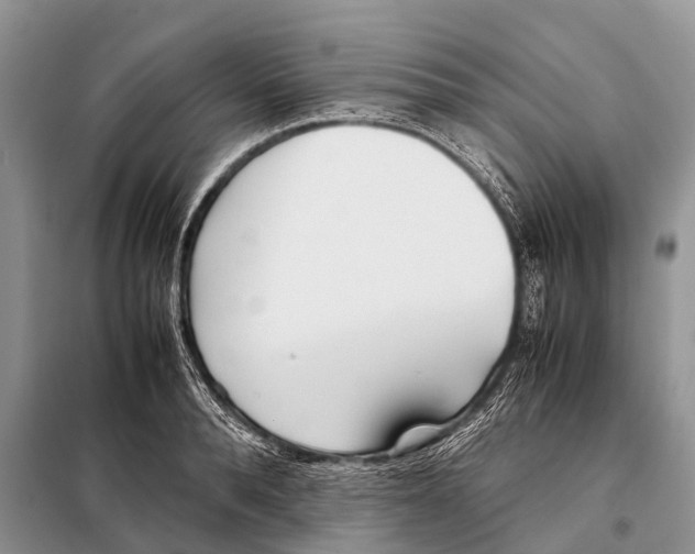 X0000098100896200805021107