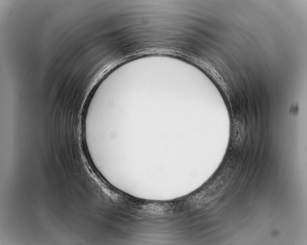 X0000098100898200805021107