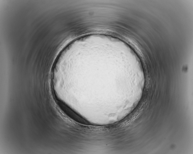X0000098100899200805021107