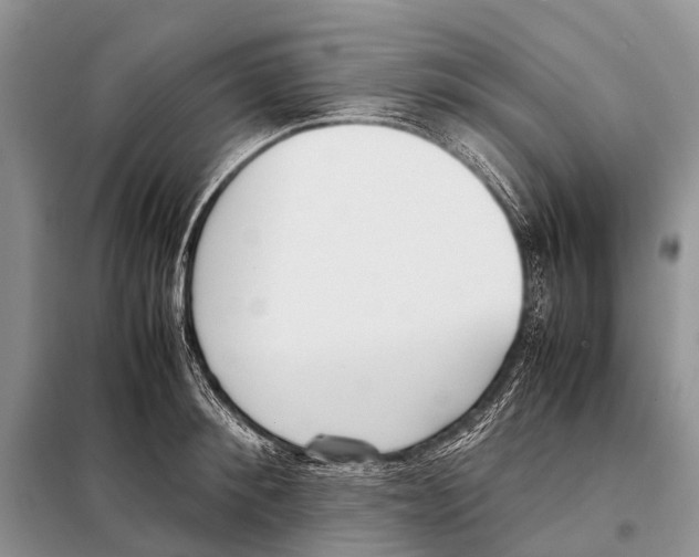 X0000098100900200805021107