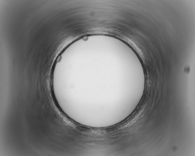 X0000098100901200805021107