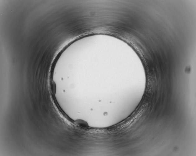 X0000098100902200805021107