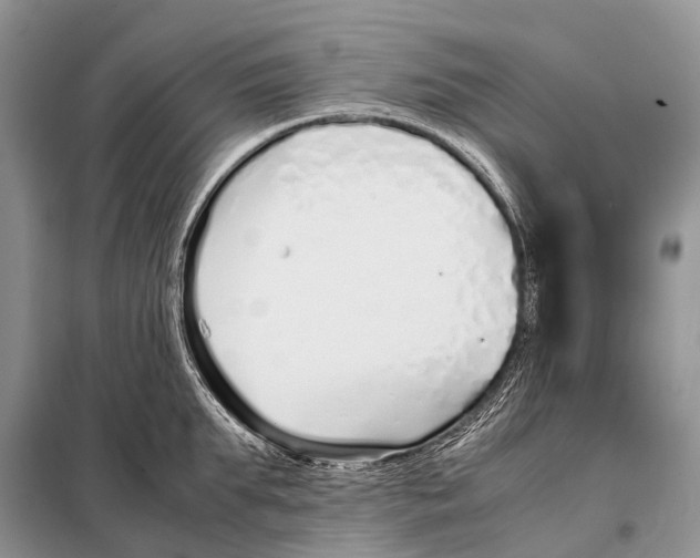 X0000098100903200805021107