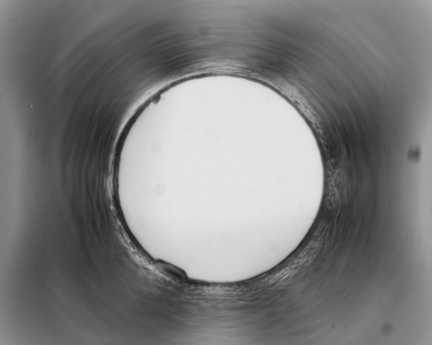 X0000098100904200805021107