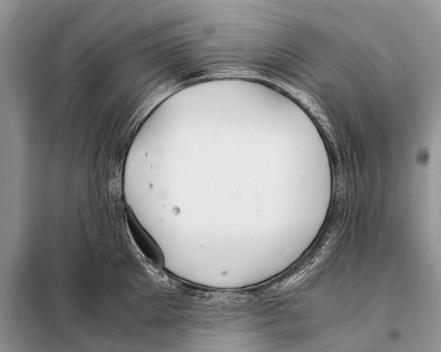 X0000098100905200805021106