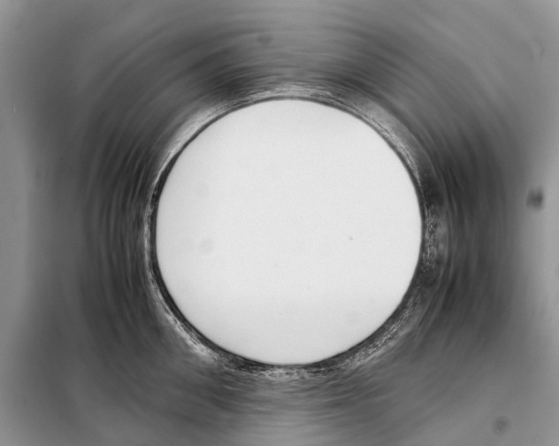 X0000098100906200805021106