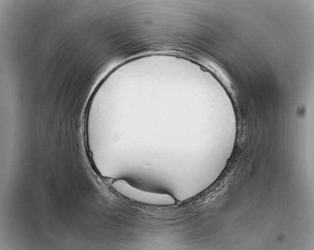 X0000098100907200805021106