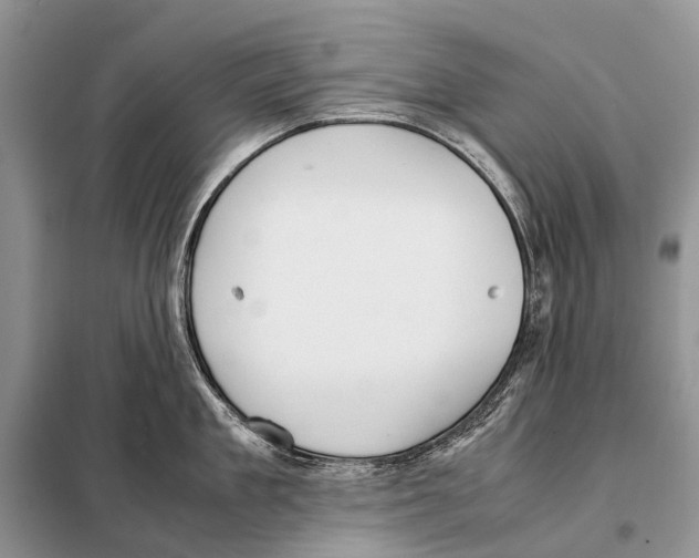 X0000098100909200805021106