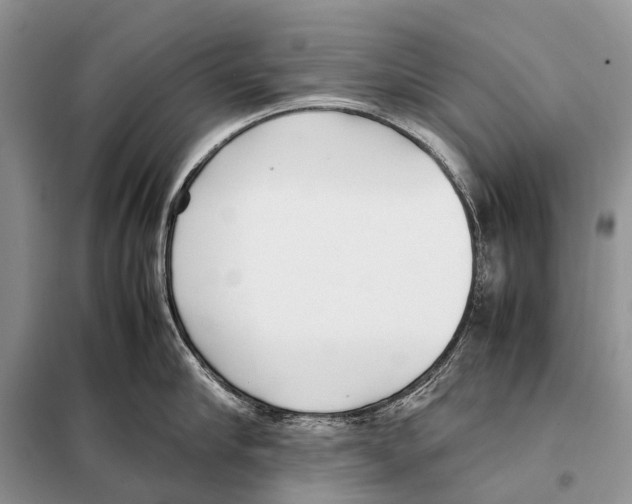 X0000098100910200805021106