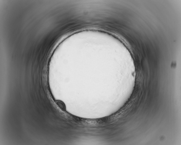 X0000098100911200805021106