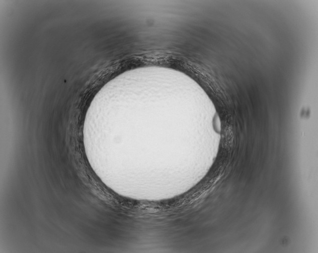 X0000098100913200805021106