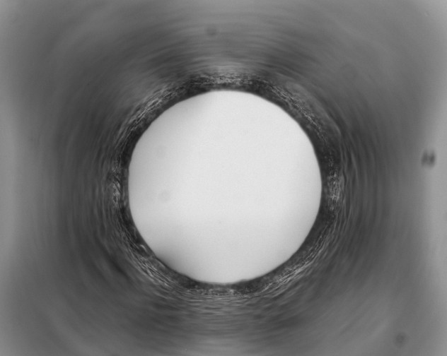 X0000098100916200805021106