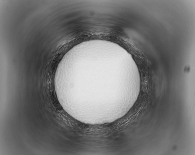 X0000098100917200805021106
