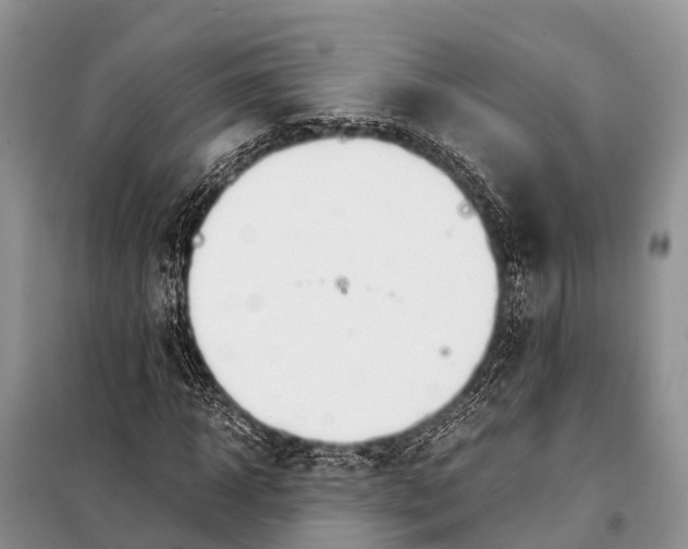 X0000098100918200805021106