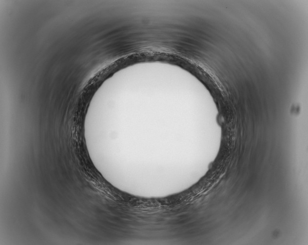 X0000098100919200805021106