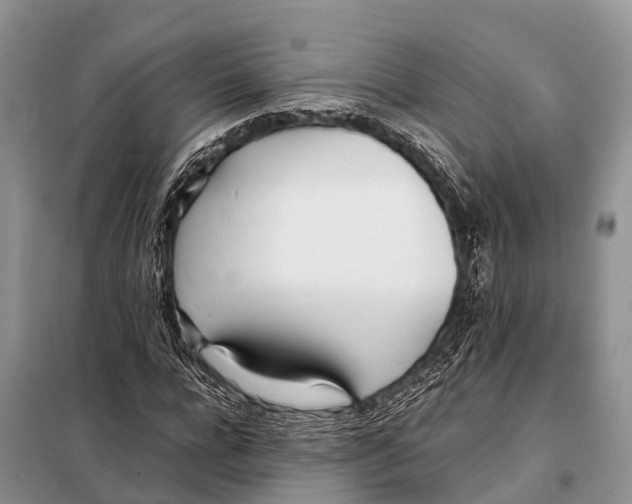 X0000098100920200805021106
